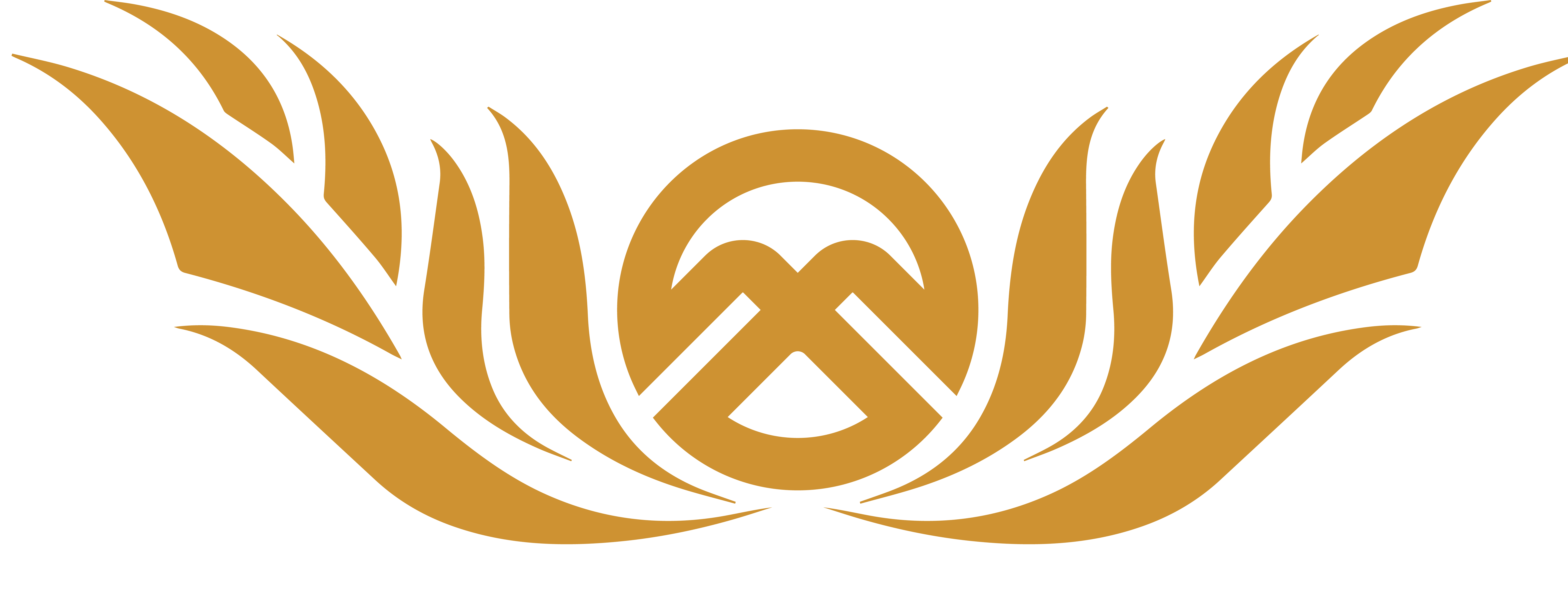 luxury limousine service near me